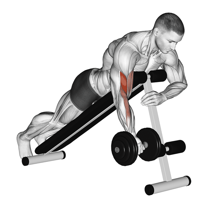 Demonstration of the dumbbell one arm prone curl