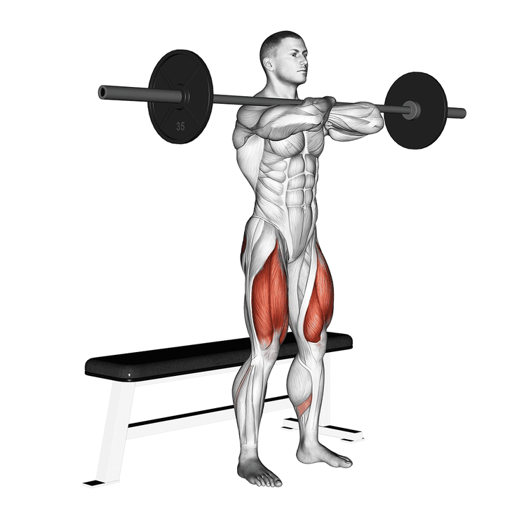 Demonstration of the barbell bench front squat