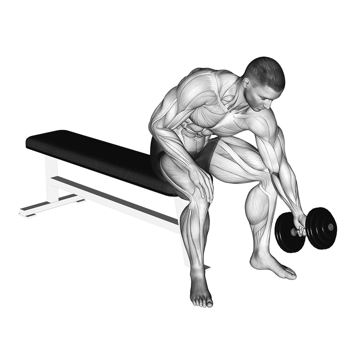 Demonstration of the dumbbell seated one arm rotate