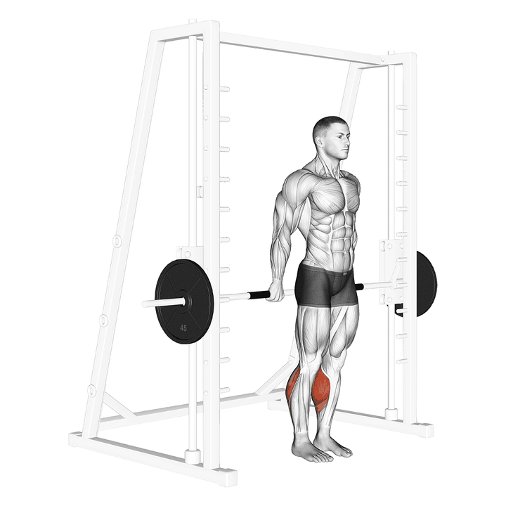 Demonstration of the smith reverse calf raises