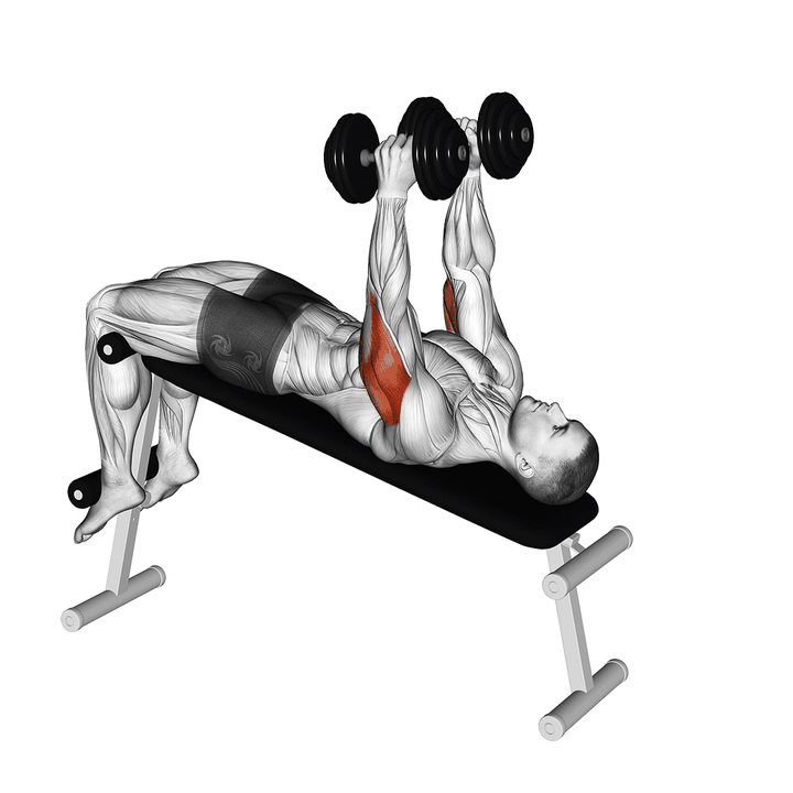 Demonstration of the dumbbell decline triceps extension