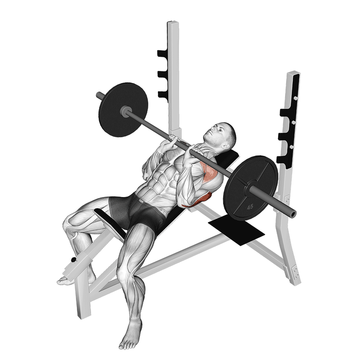 Demonstration of the barbell incline close grip bench press