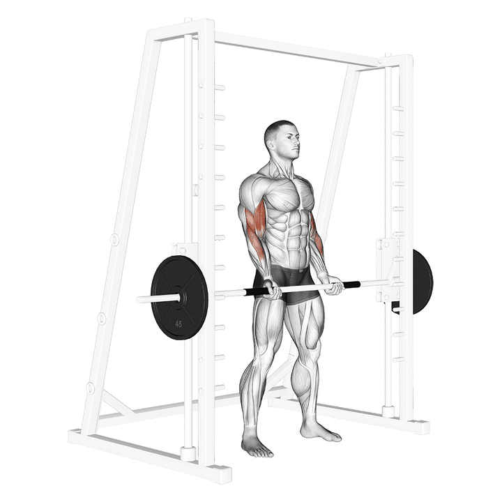 Demonstration of the smith machine bicep curl