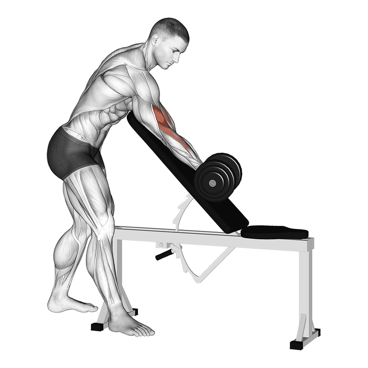 Demonstration of the dumbbell standing one arm curl over incline bench