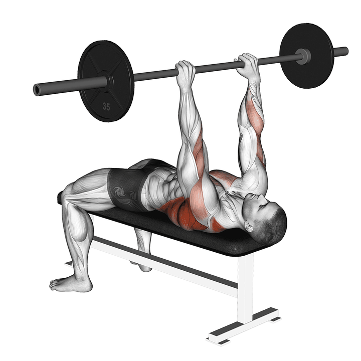 Demonstration of the barbell pullover to press