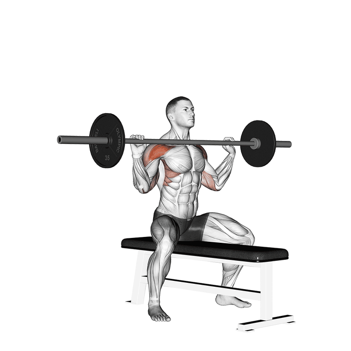 Demonstration of the barbell seated overhead press