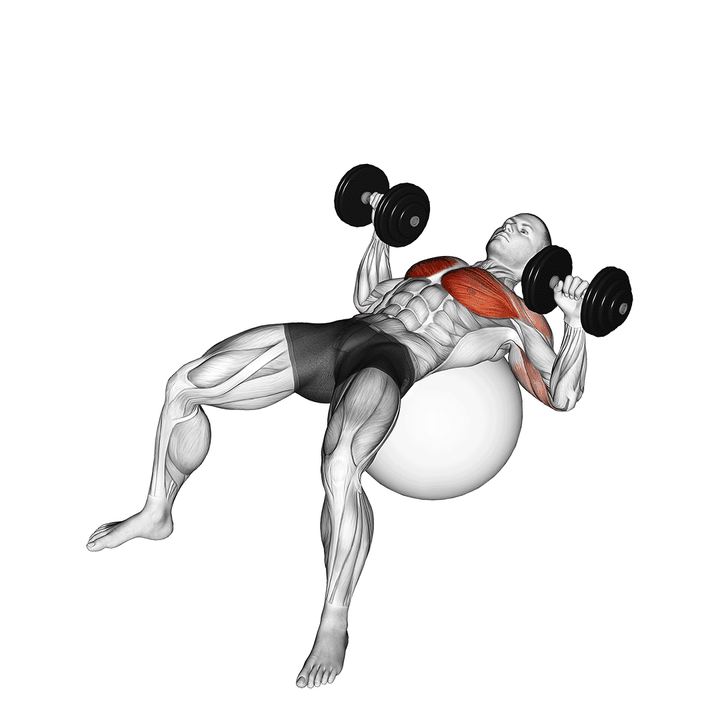 Demonstration of the dumbbell press on exercise ball