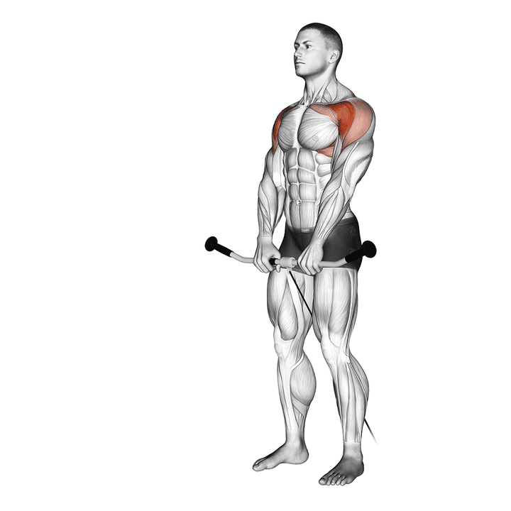 Demonstration of the cable front raise