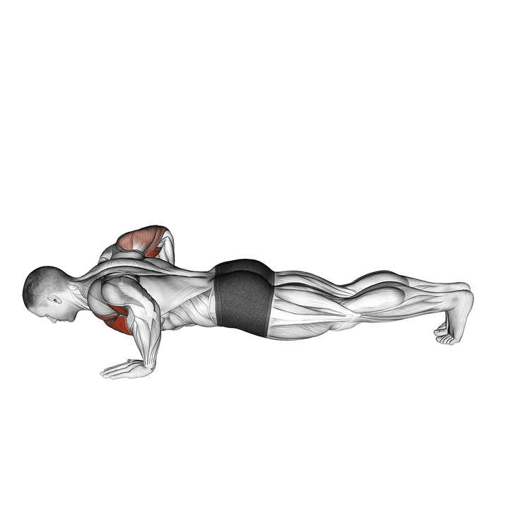 Demonstration of the chest tap push-up (male)