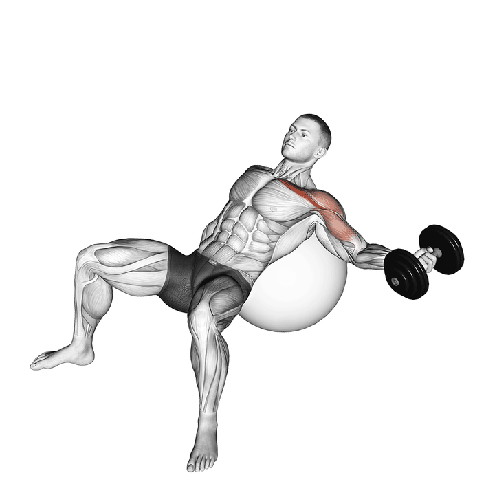 Demonstration of the dumbbell incline one arm fly on exercise ball