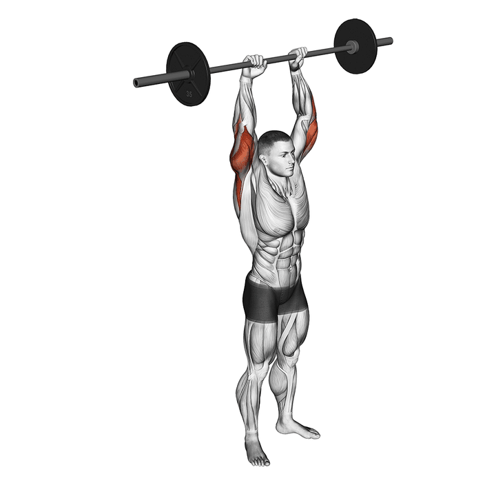 Demonstration of the barbell standing overhead triceps extension