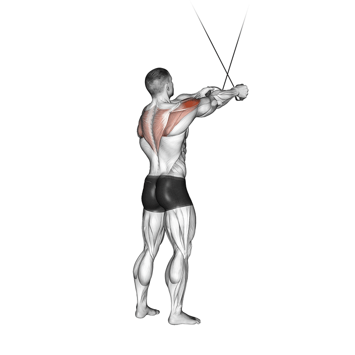 Demonstration of the cable standing cross-over high reverse fly