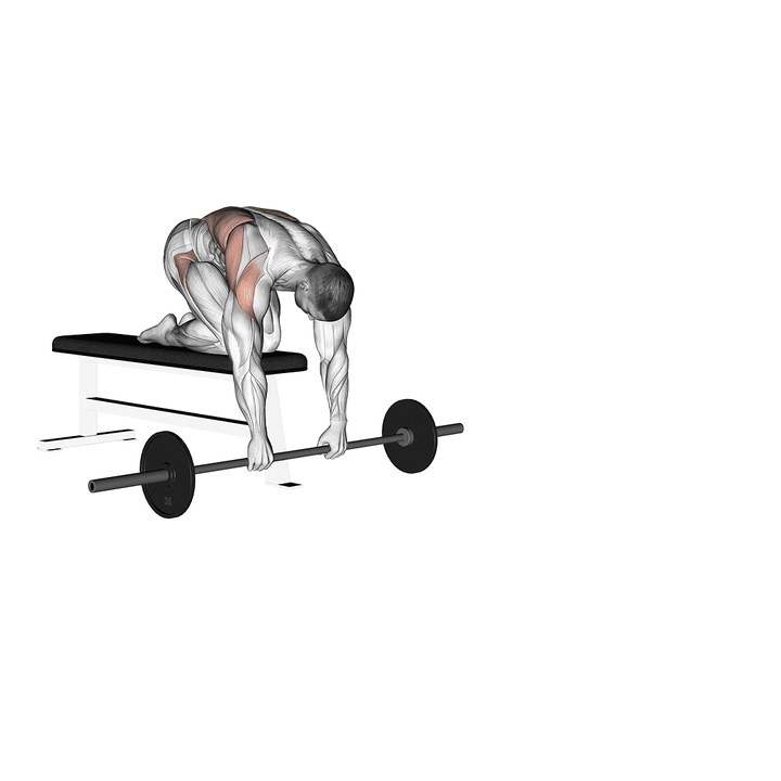 Demonstration of the barbell rollerout from bench