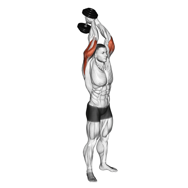 Demonstration of the dumbbell standing triceps extension