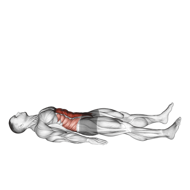 Demonstration of the half sit-up (male)