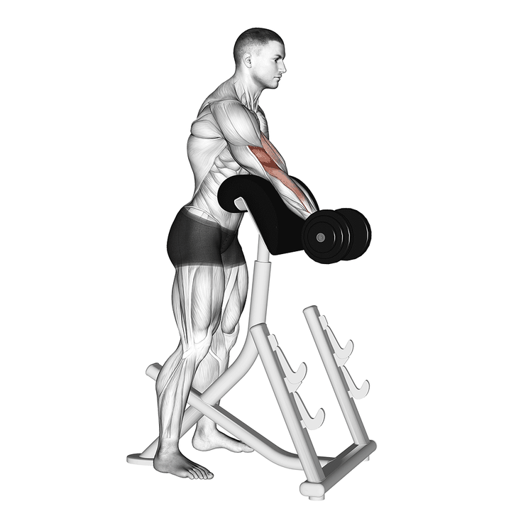 Demonstration of the dumbbell standing preacher curl