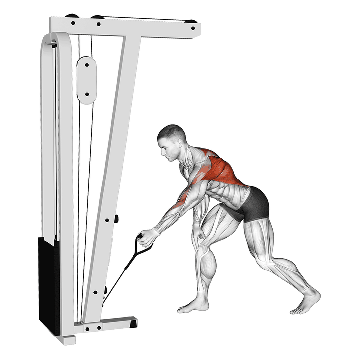 Demonstration of the cable one arm bent over row