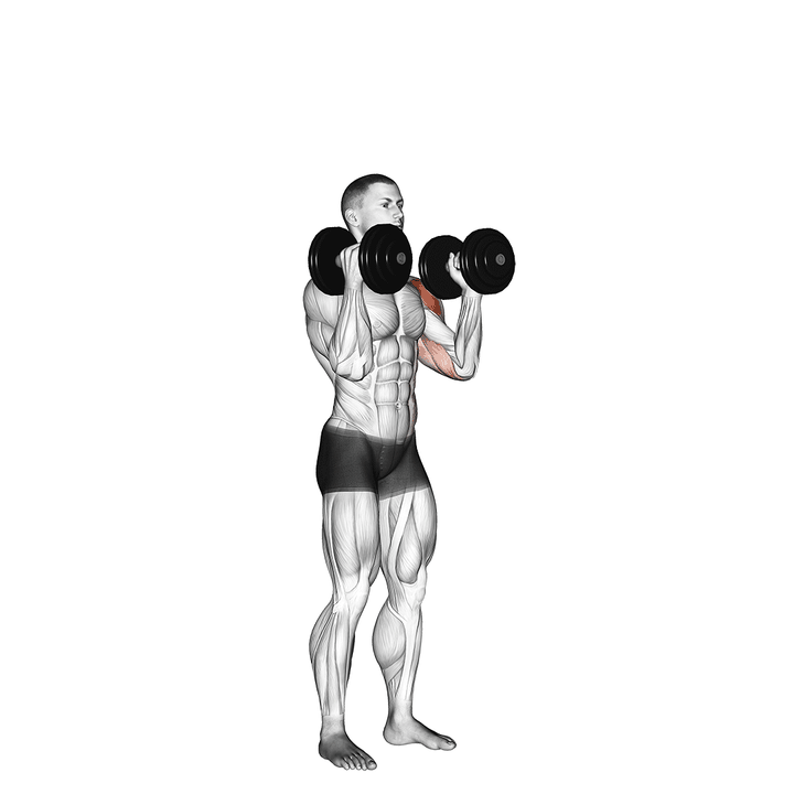 Demonstration of the dumbbell alternate side press