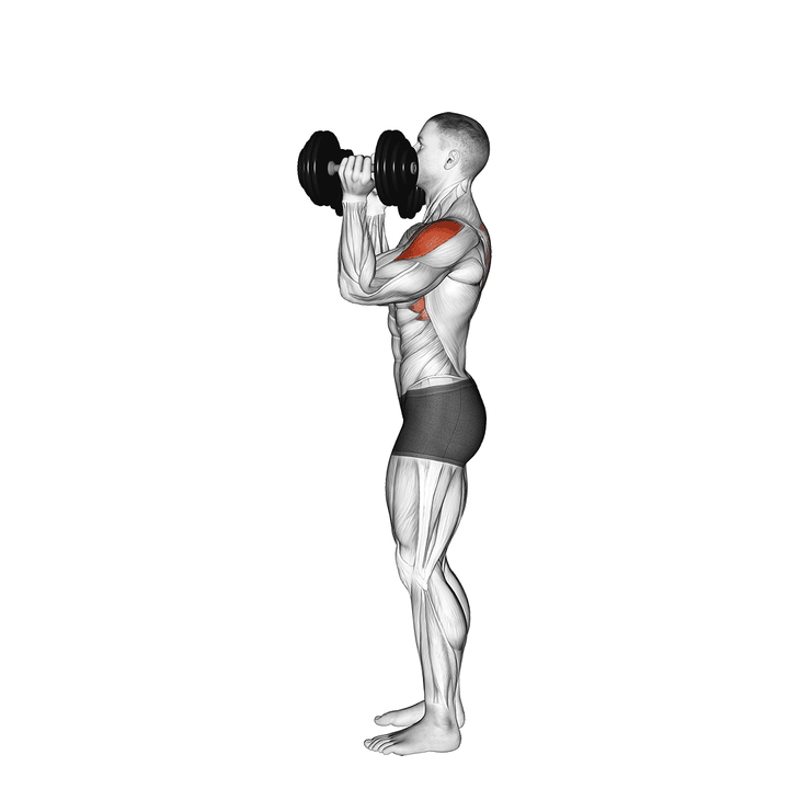 Demonstration of the dumbbell scott press