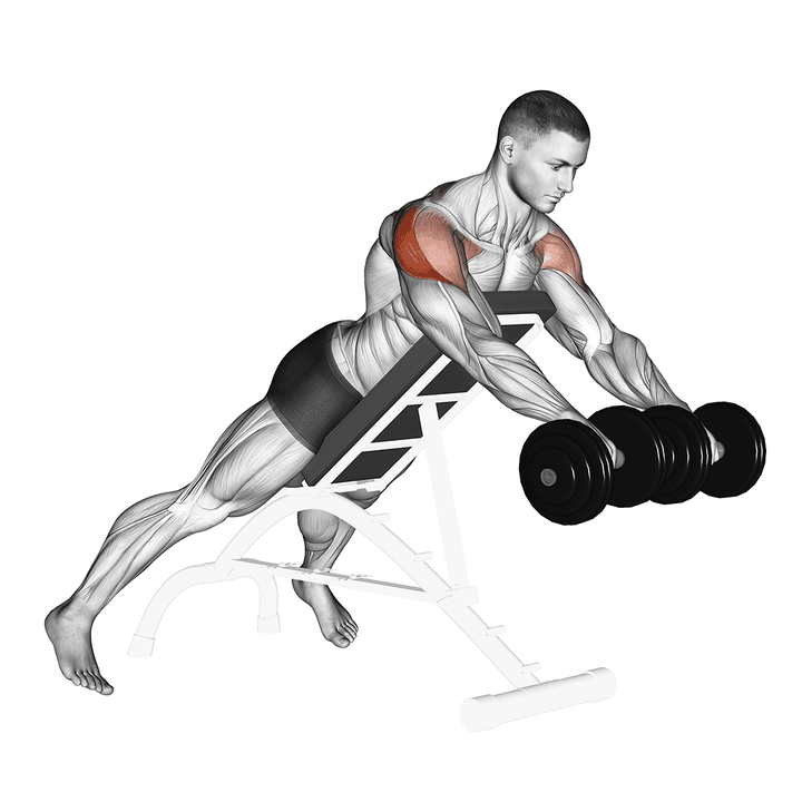 Demonstration of the dumbbell rotation reverse fly
