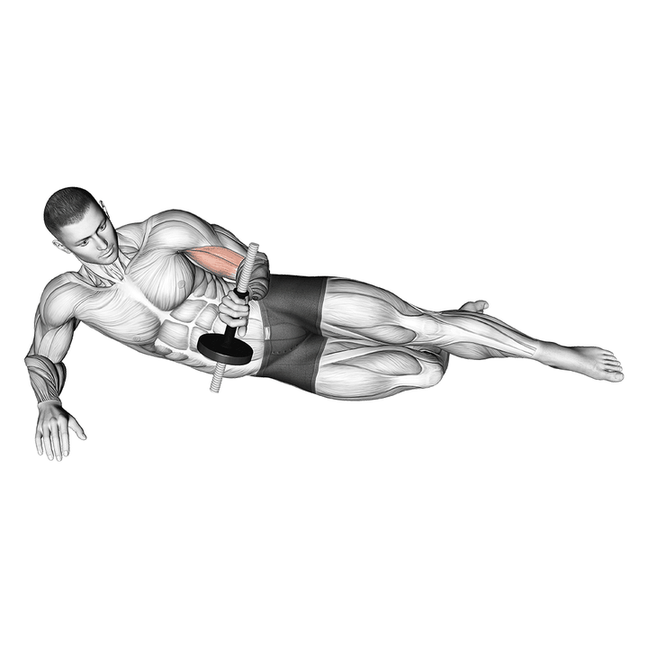 Demonstration of the dumbbell lying supination on floor