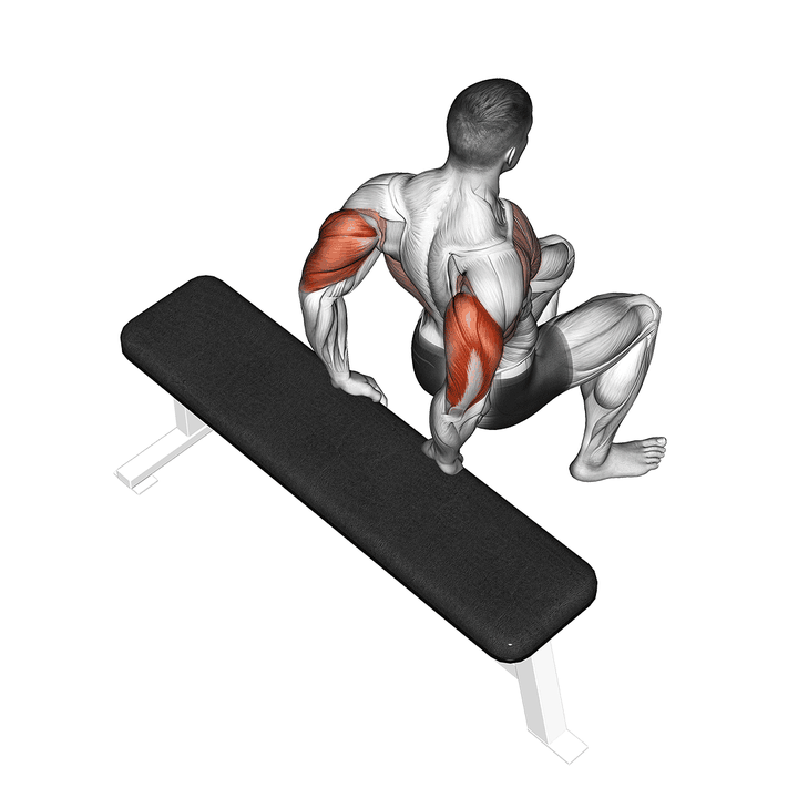 Demonstration of the bench dip (knees bent)