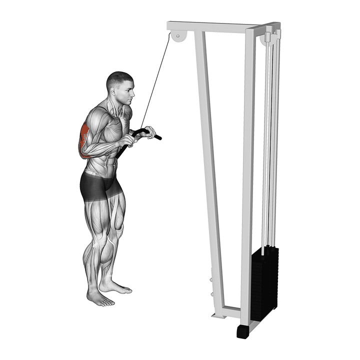 Demonstration of the cable triceps pushdown