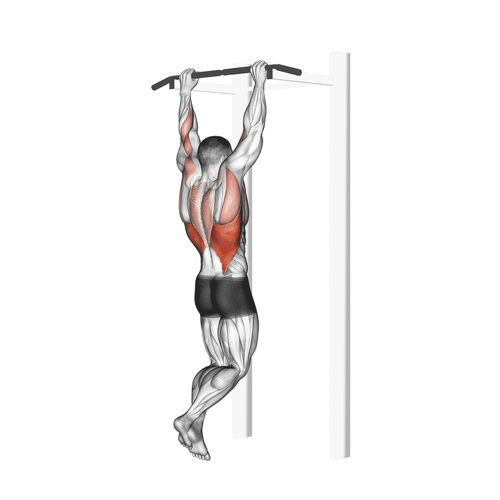Demonstration of the gironda sternum chin - elite variation
