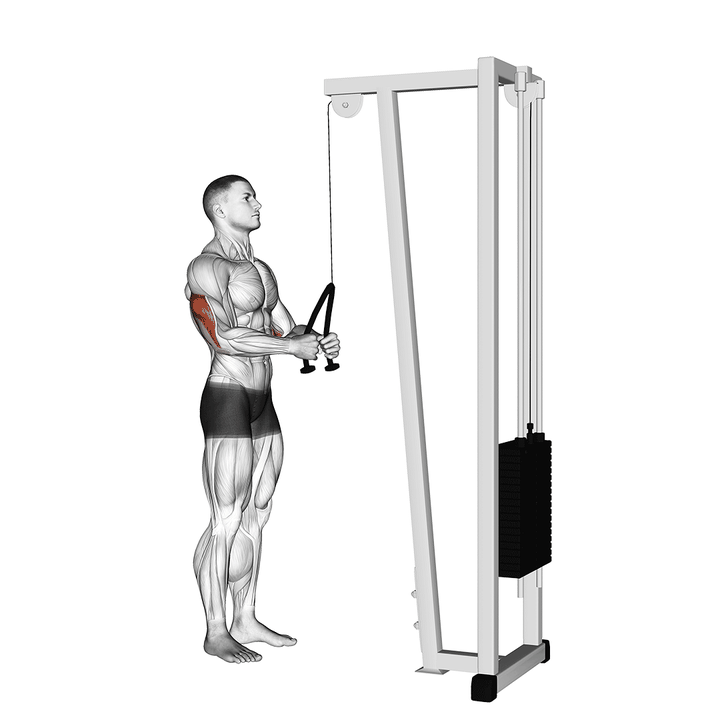 Demonstration of the prone cable pushdown (with rope attachment)