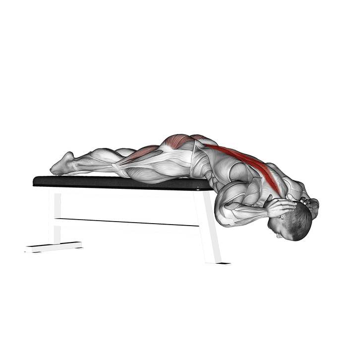 Demonstration of the hyperextension (on bench)