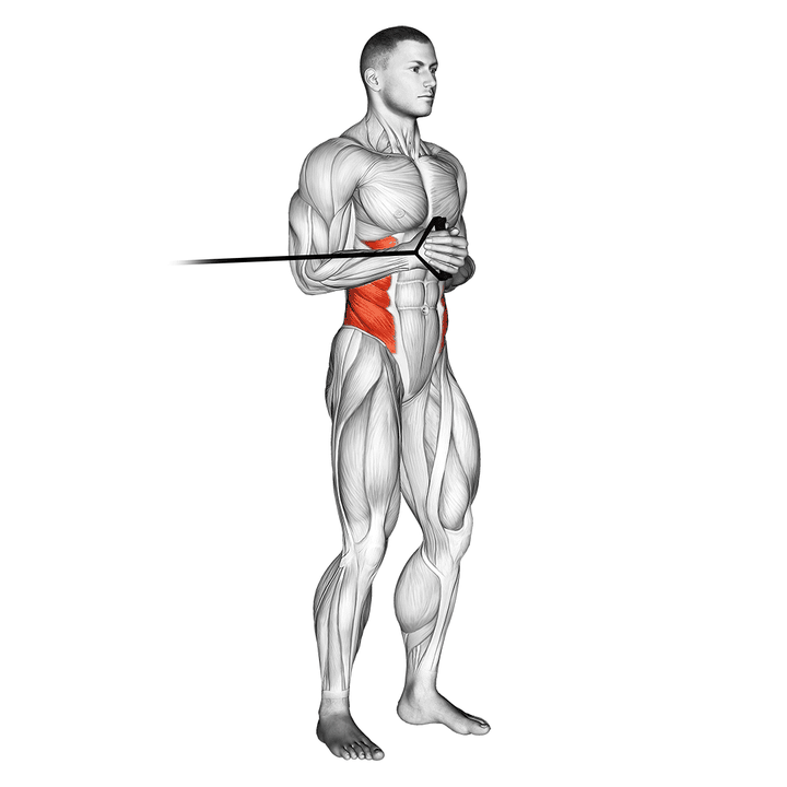 Demonstration of the band horizontal pallof press