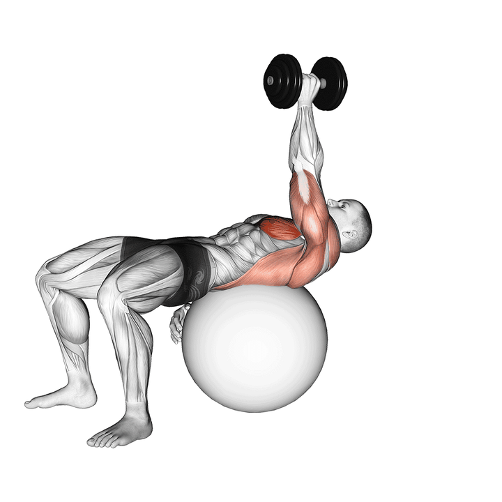Demonstration of the dumbbell one arm pullover on exercise ball