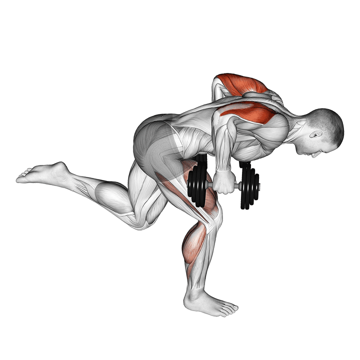 Demonstration of the dumbbell tricep kickback with stork stance