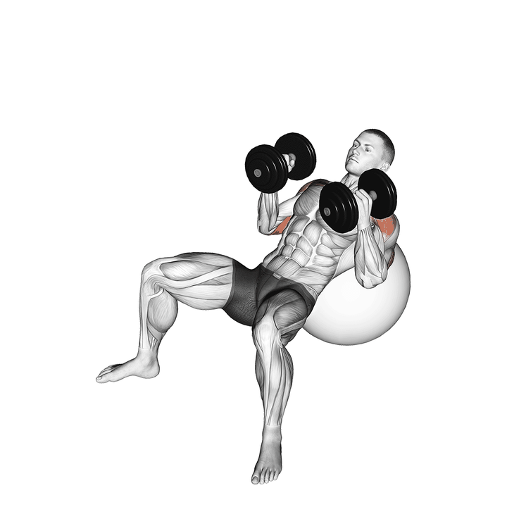 Demonstration of the dumbbell incline hammer press on exercise ball