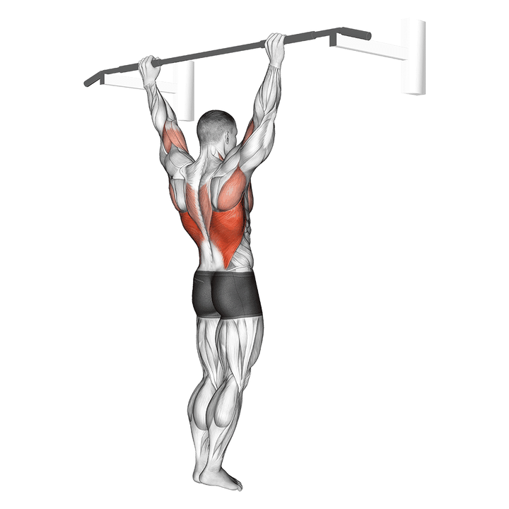 Demonstration of the wide grip rear pull-up