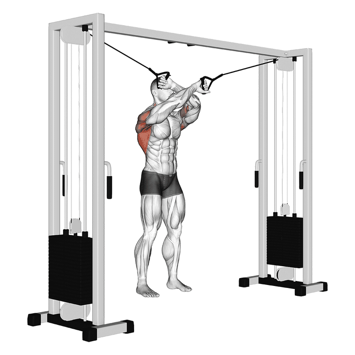 Demonstration of the cable lat pulldown full range of motion