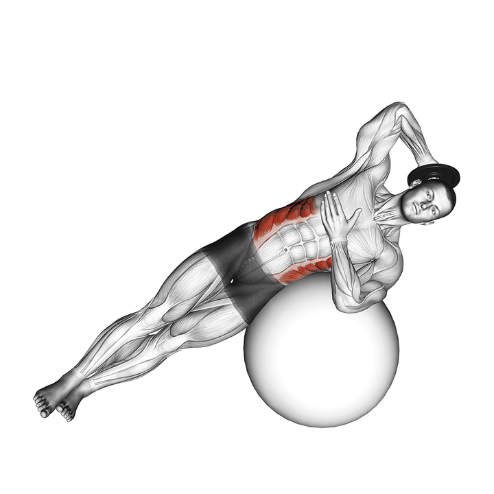 Demonstration of the weighted side bend (on stability ball)