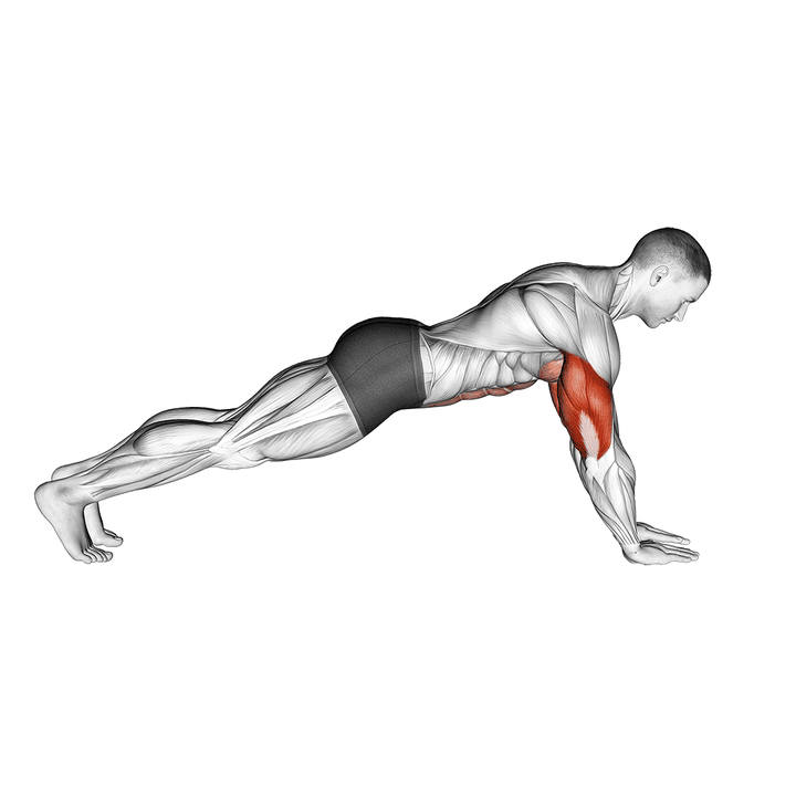 Demonstration of the push-up on lower arms
