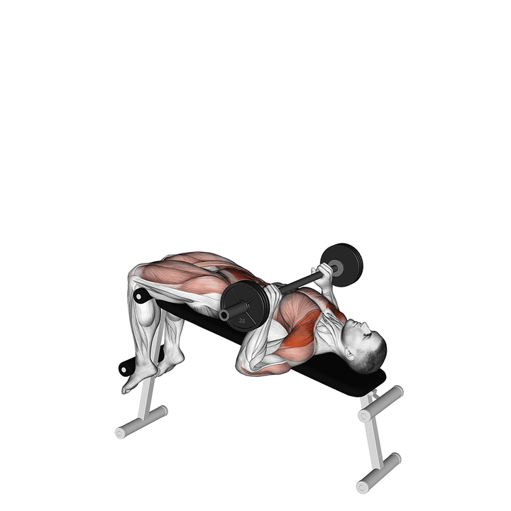 Demonstration of the barbell press sit-up