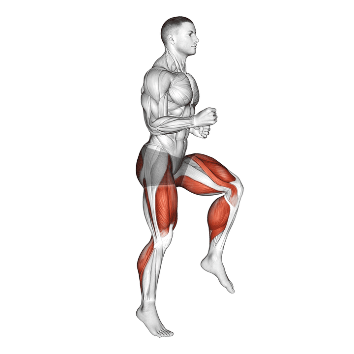 Demonstration of the half knee bends (male)