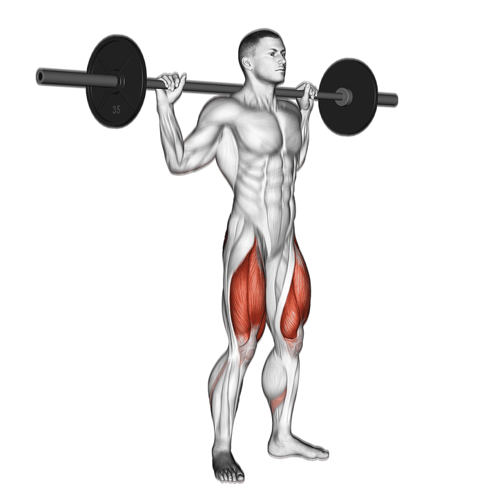 Demonstration of the barbell speed squat