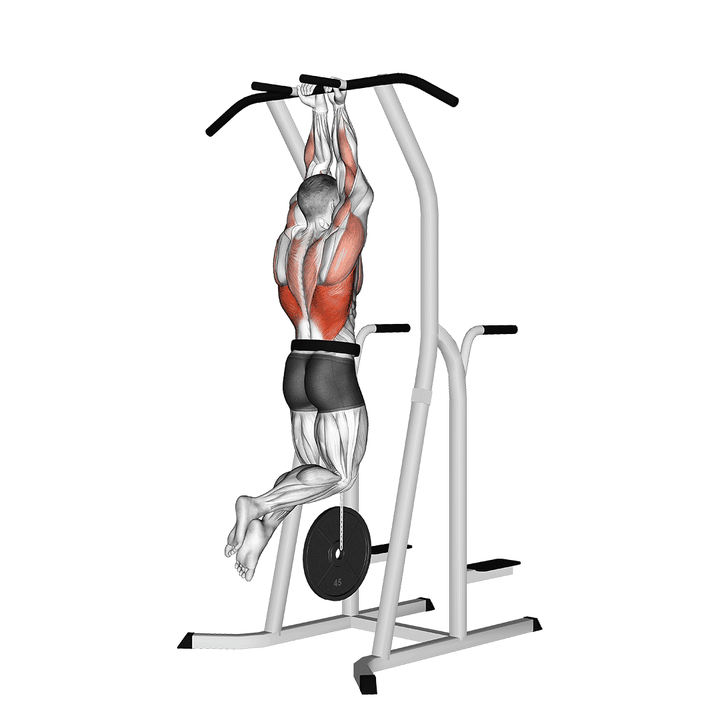 Demonstration of the weighted close grip chin-up on dip cage