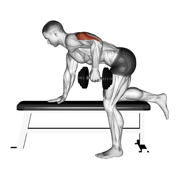 Demonstration of the dumbbell kickback