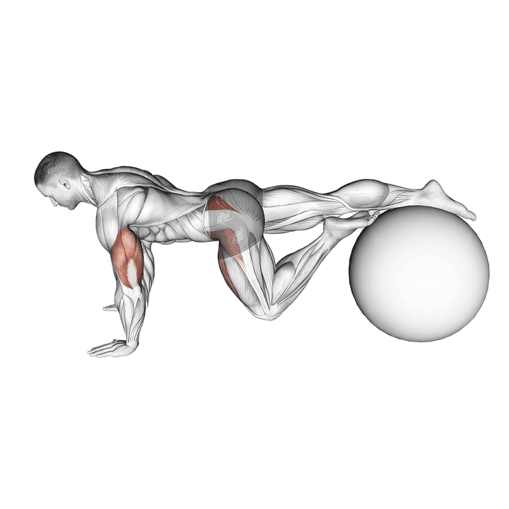 Demonstration of the exercise ball one leg prone lower body rotation