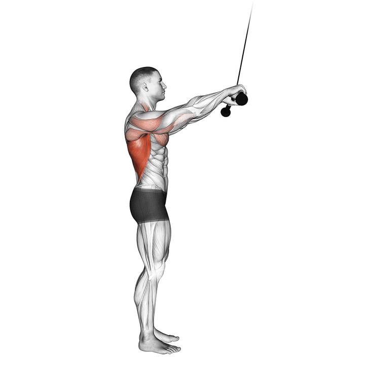 Demonstration of the cable pushdown (straight arm)