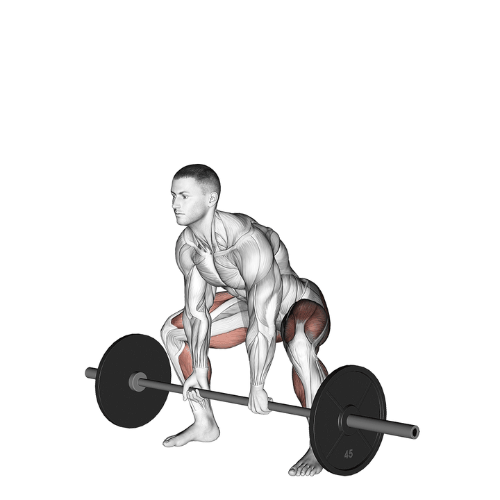 Demonstration of the barbell sumo deadlift with mega