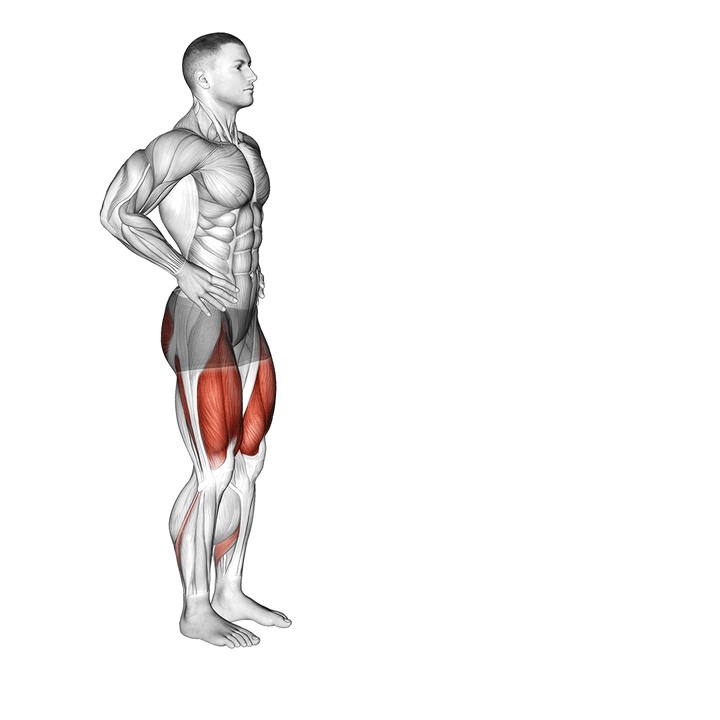 Demonstration of the forward lunge (male)