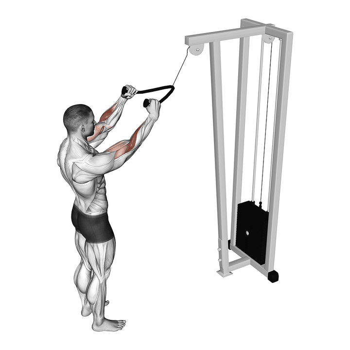 Demonstration of the cable standing pulldown (with rope)
