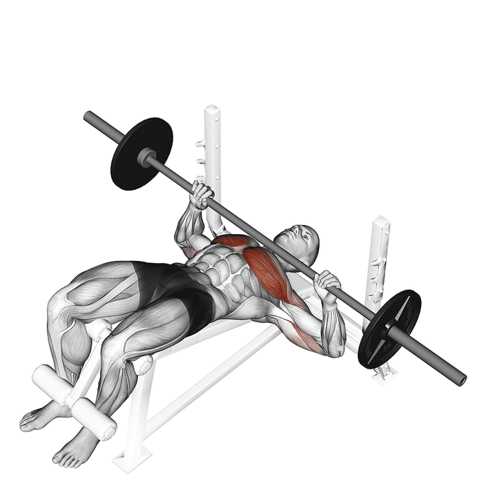 Demonstration of the barbell decline bench press