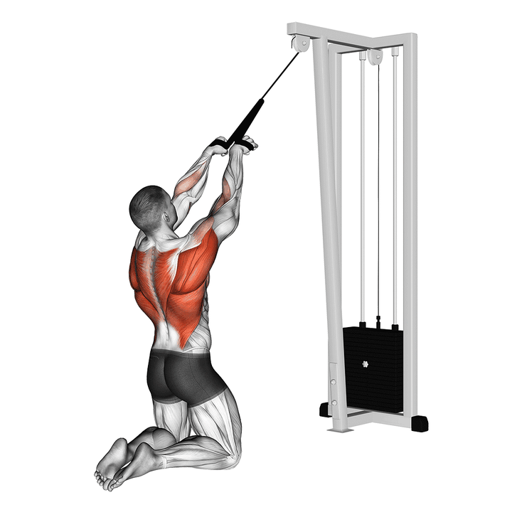 Demonstration of the cable high row (kneeling)